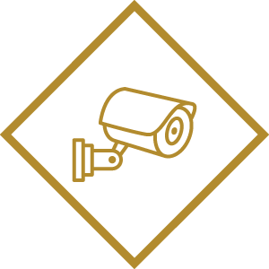 video-monitoring-icon